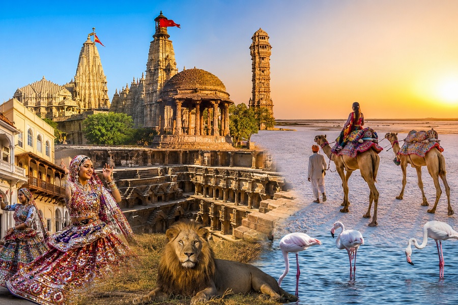 Gujarat Tourism Trends